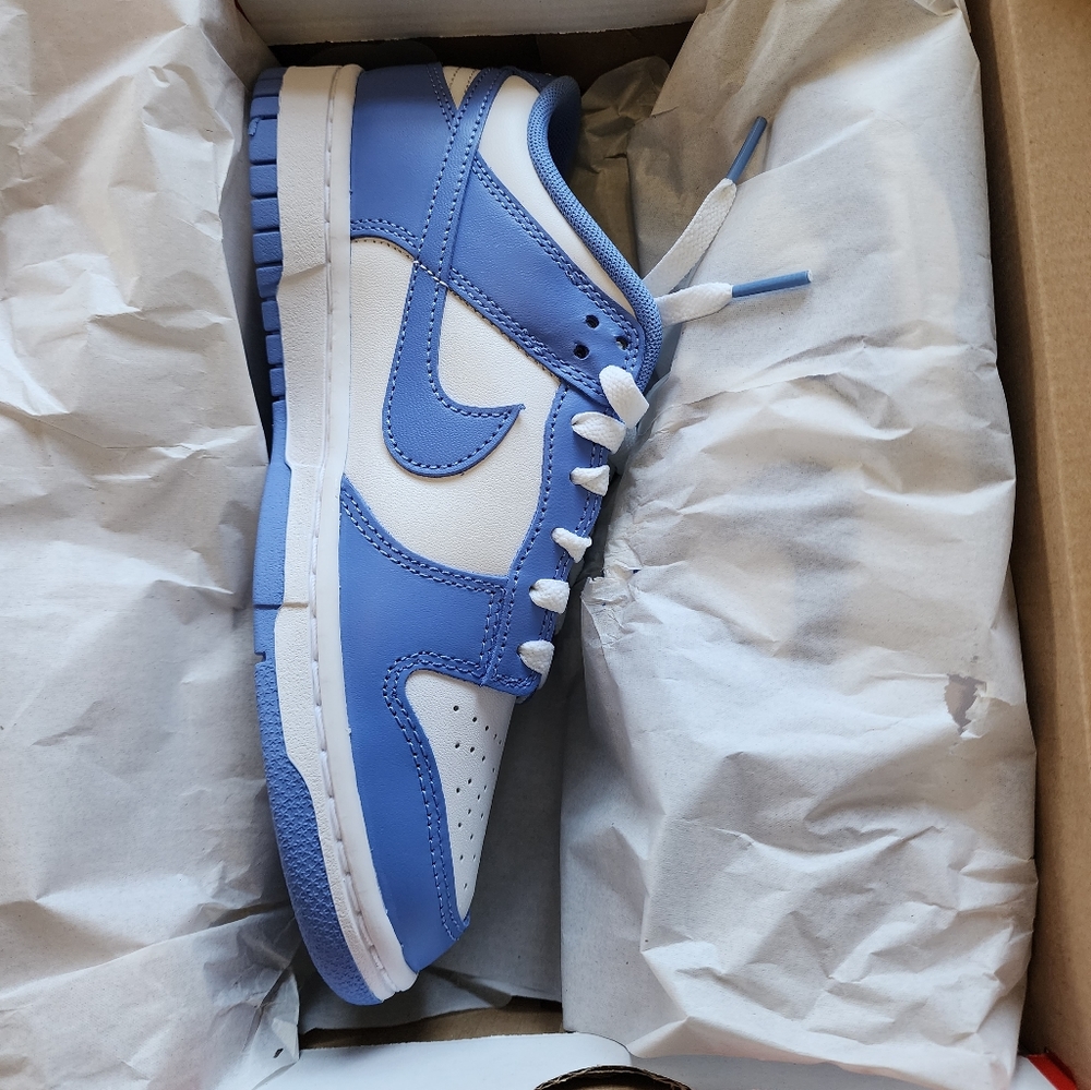 Nike Dunk Low Retro "Polar/White"